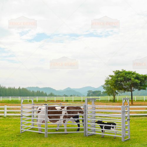 10 Head Cattle Yard Fence