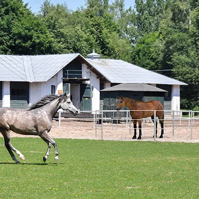 Portable-Horse-Fence-Application-Scenarions