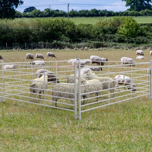 Metal galvanized 8ft Sheep Hurdle Scene Application