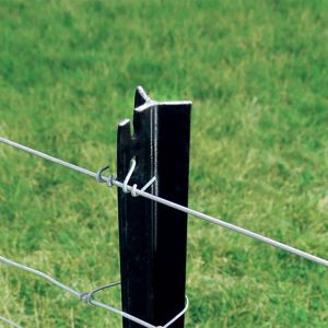 Star picket for fastening barbed wire