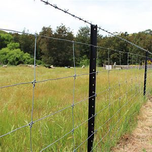 Star picket for fastening cattle fence