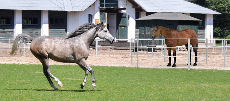 Advantages of Aluminum Horse Fence Panels