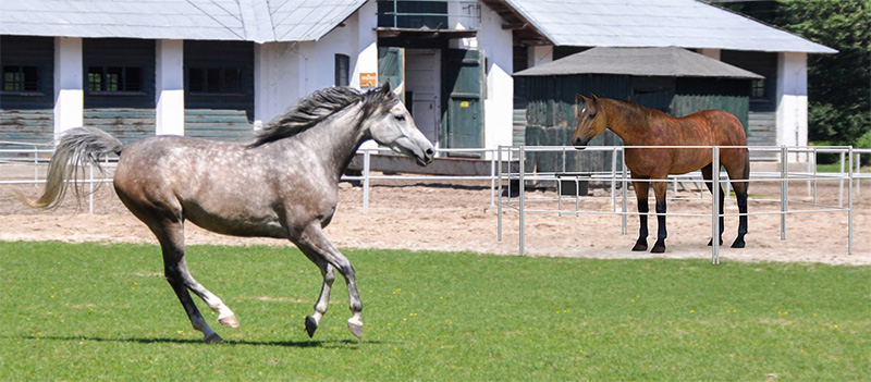 Advantages of Aluminum Horse Fence Panels