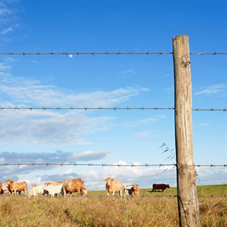 What are the pros and cons of barbed wire fences?