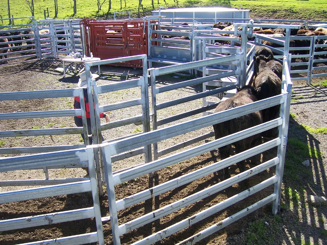 Cattle Fence Panel Practical Applications