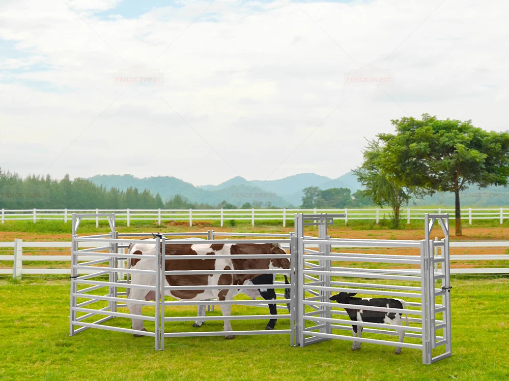 Factors to Consider When Choosing a Cattle Yard Fence