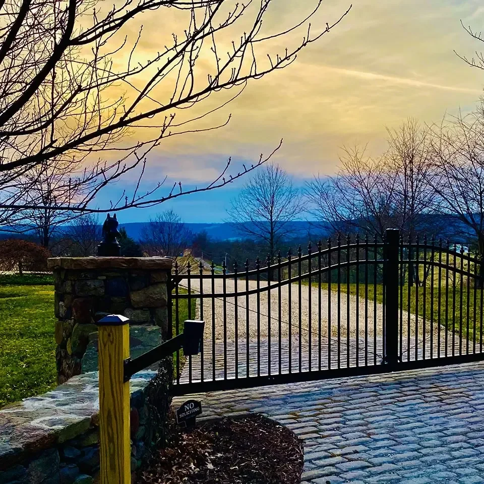 Decorative-metal-arch-gate