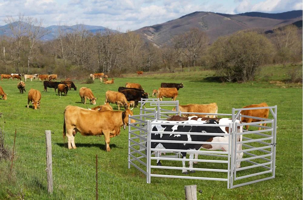cattle fence application 