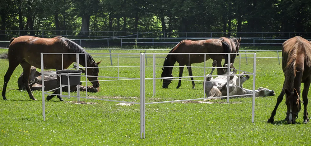 metal portable horse fences