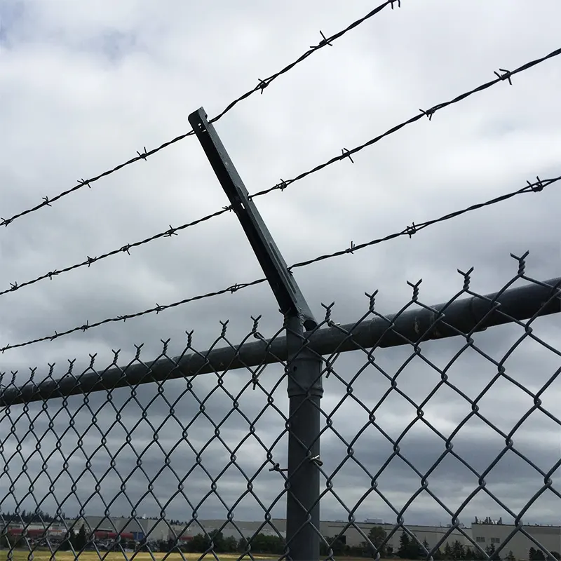 Chain Link Wire Mesh Fence