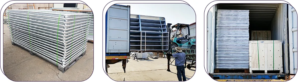 Farm Gate Packaging and Shipping