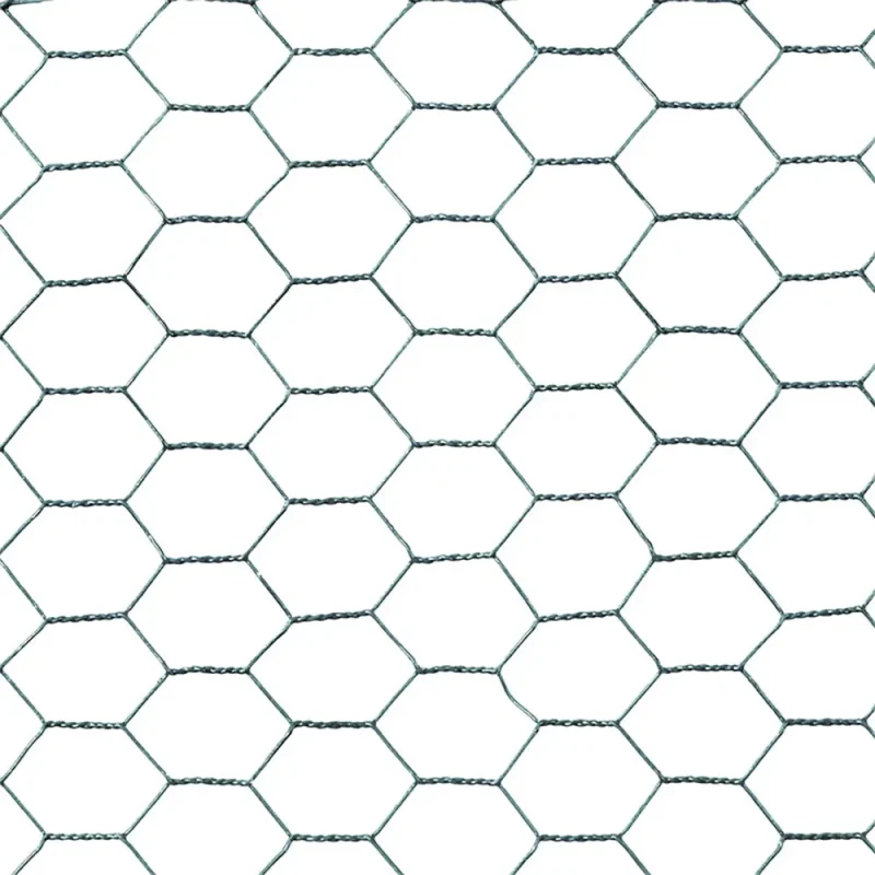 Hexagonal Wire Mesh