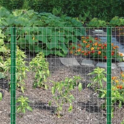 PVC Coated Welded Wire Mesh Application