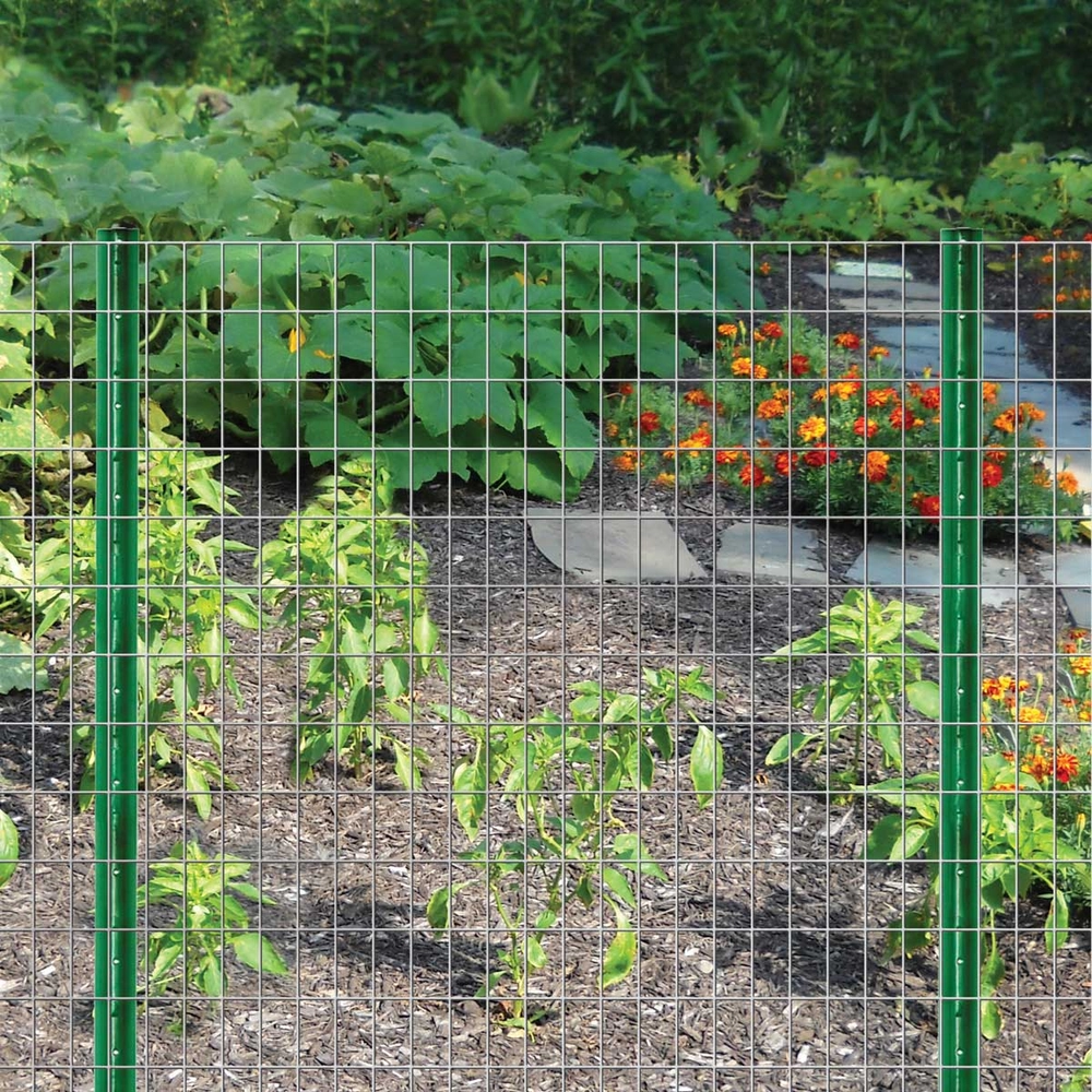 PVC Coated Welded Wire Mesh Application