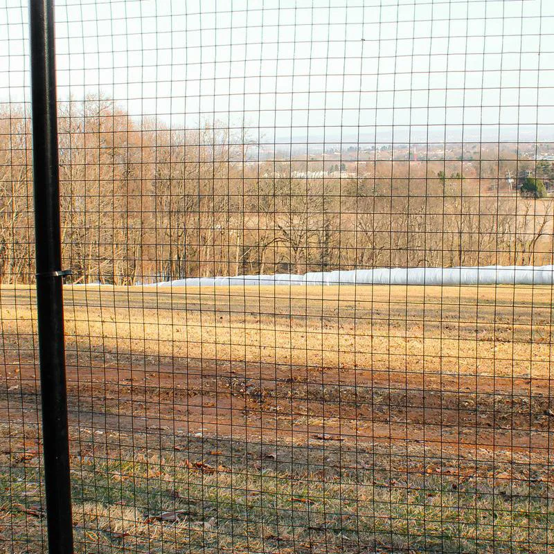 PVC Coated Welded Wire Mesh Application