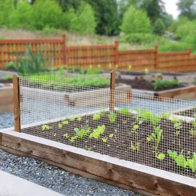 Steel Welded Wire Mesh for Planting Area