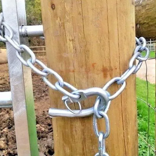 Lockable Chain Catch Application