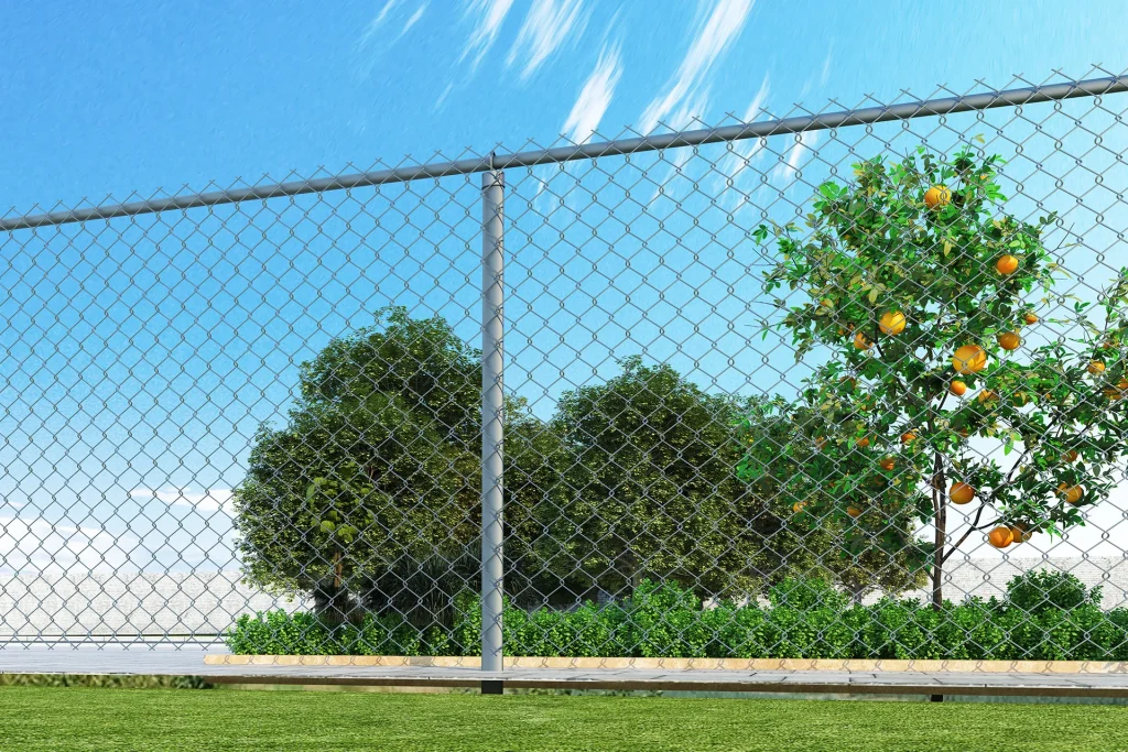 Chain Link Fence
