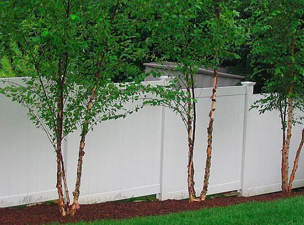 pvc fence 