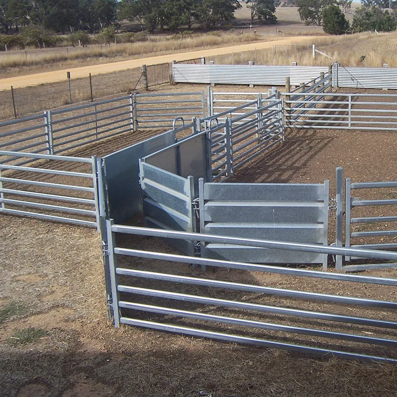 Sheep Yard Fencing Application
