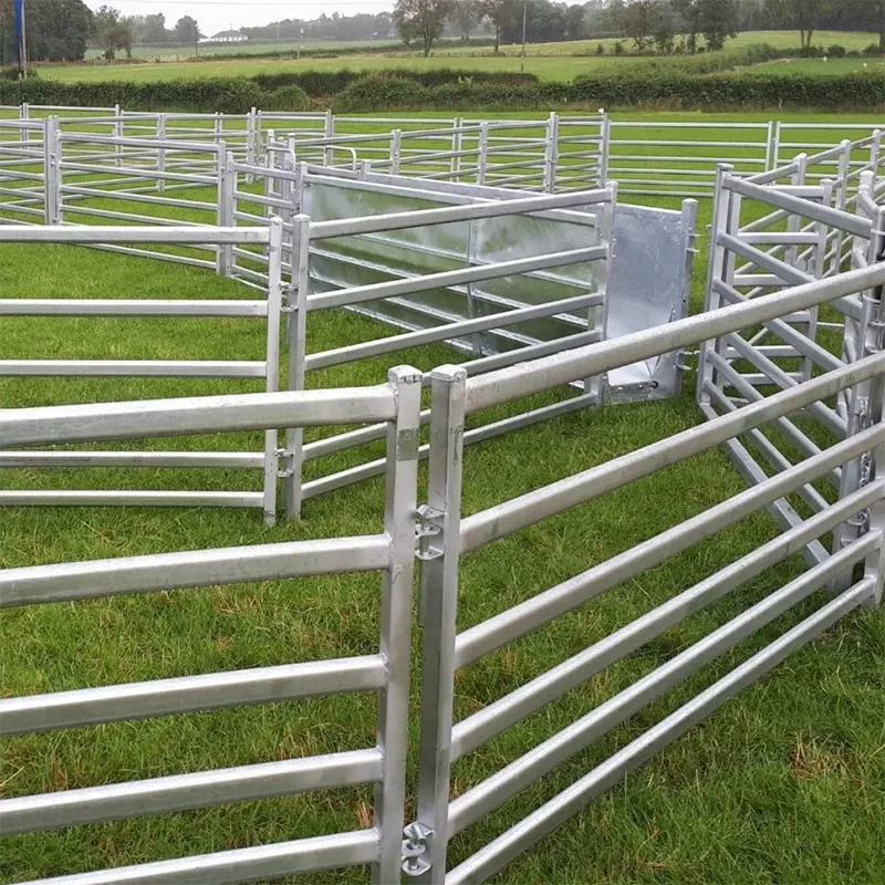 Sheep Yard Fencing Application