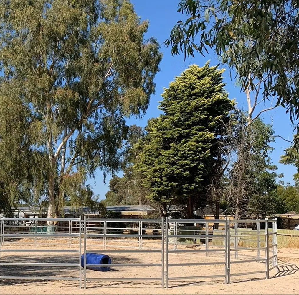 Galvanized Steel Horse Yard Fencing Application