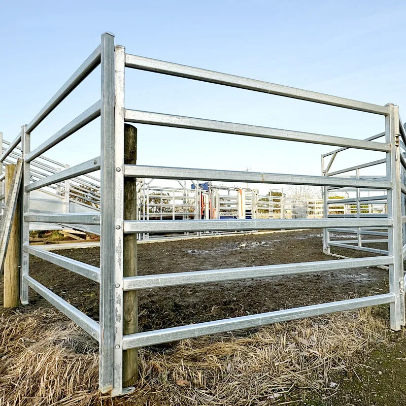 horse yard fencing