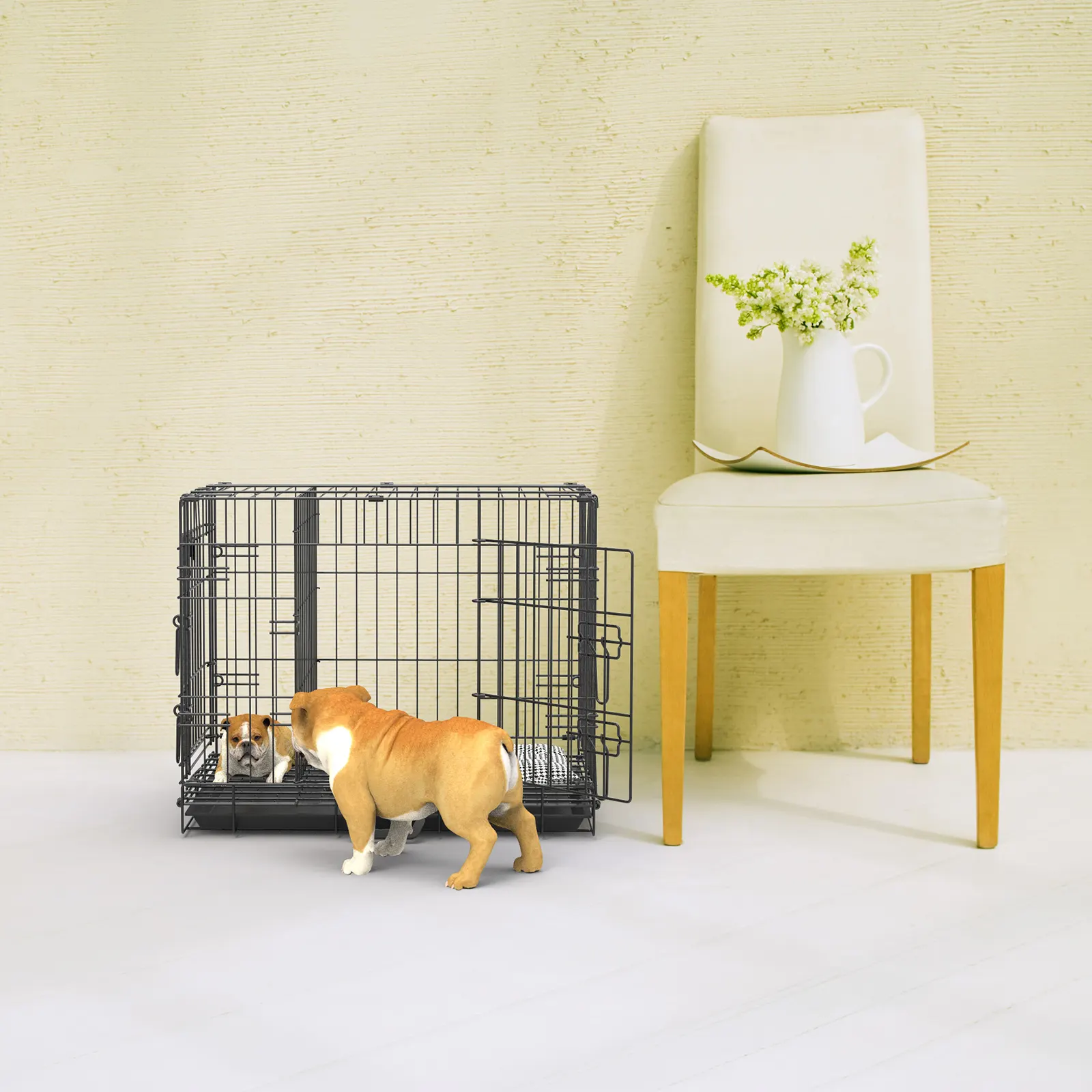 Foldable Wire Dog Crate Application