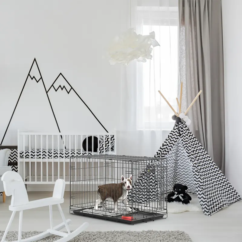 black dog crate application