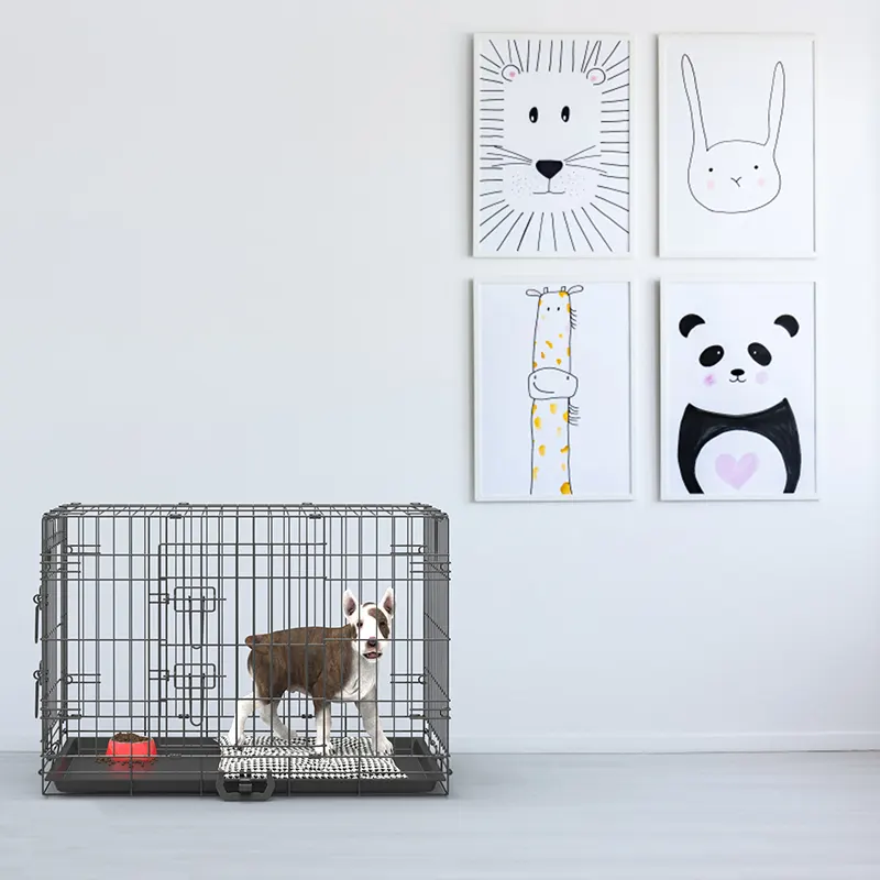 dog crate in home